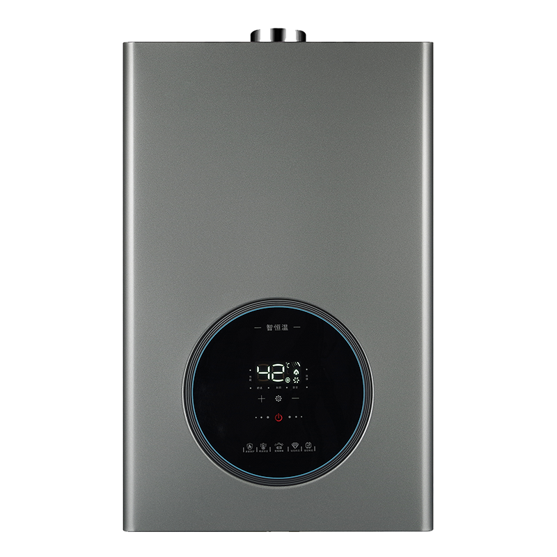 Calentador de agua de gas obligatorio de temperatura constante inteligente jsq30 - 16lb58 