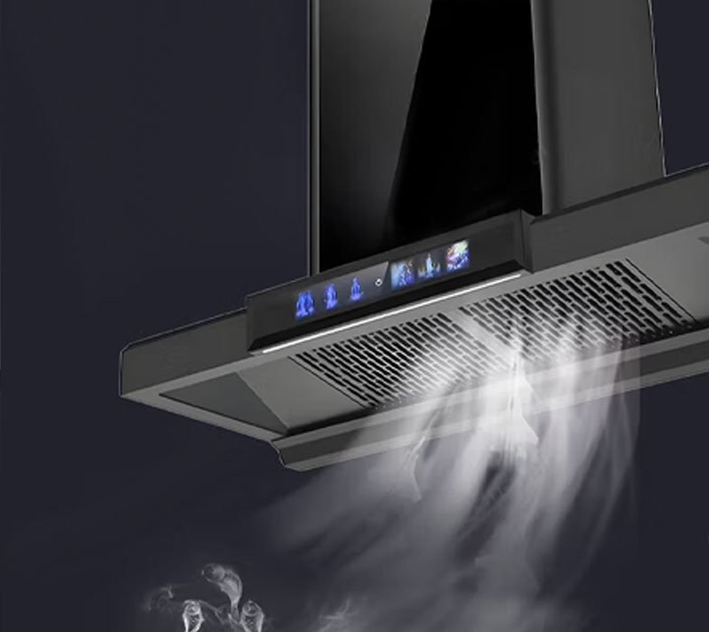 Campana extractora de gran succi&oacute;n Europea superior o19h11 